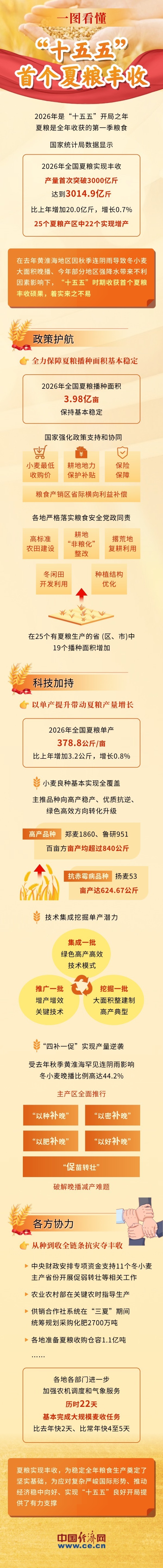 一图看懂“十五五”首个夏粮丰收 突破3000亿斤