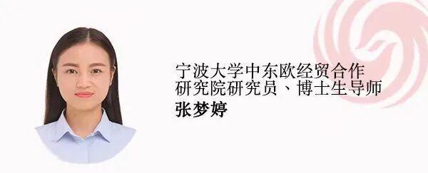 中国企业如何应对最严欧盟新规 从被动等查到主动自证