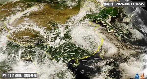 白海豚残涡带来的雨太持久了