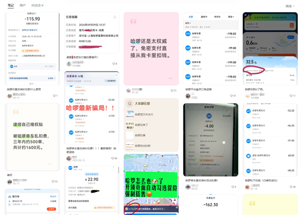 手机号被盗刷平台仅赔200元 用户损失惨重求偿难