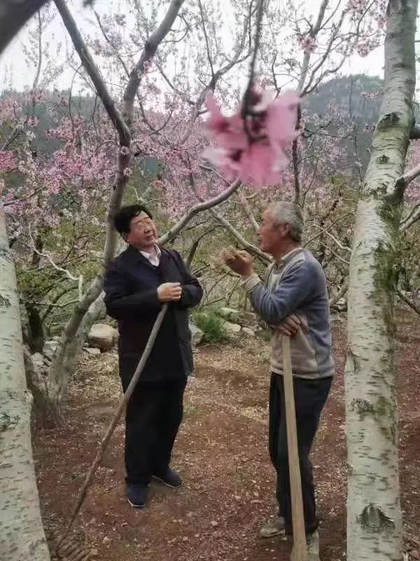 【李想集锦】（219）丨帮过九间棚的好县委书记，人民记着