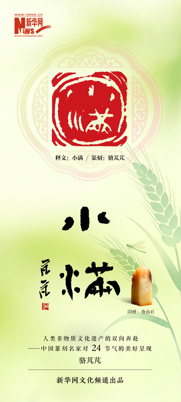 二十四节气 · 小满 | 骆芃芃篆刻的金石雅韵