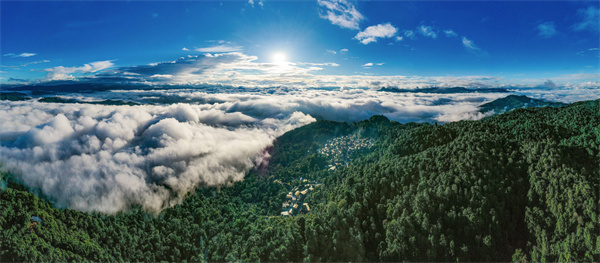 景迈山云海 陈飞 摄