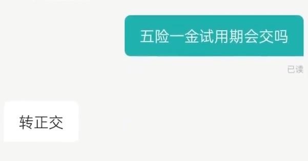 试用期不给交五险 女子拒入职反被骂