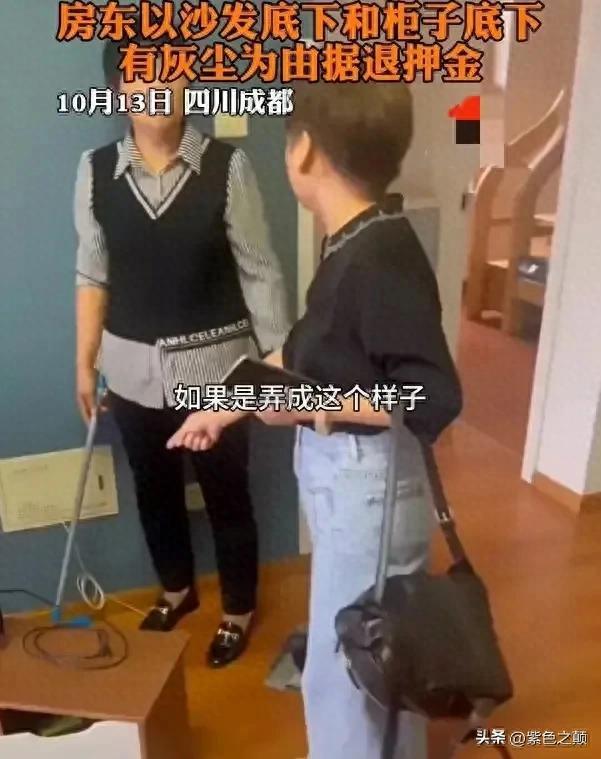 房东以房屋有灰拒退押金？事情已反转，房东损失惨重，租客被封号