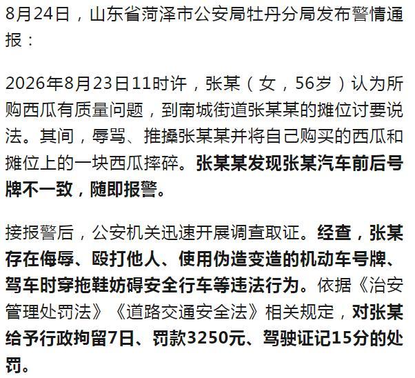 女子穿拖鞋驾驶套牌车打砸西瓜摊