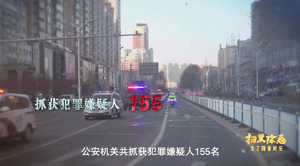 落马副局长有上百辆豪车  扫黑利剑直指哈尔滨“电老虎”