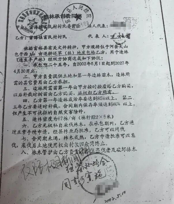 响应号召种树成材后被禁止采伐 农户二十余年护林心酸史