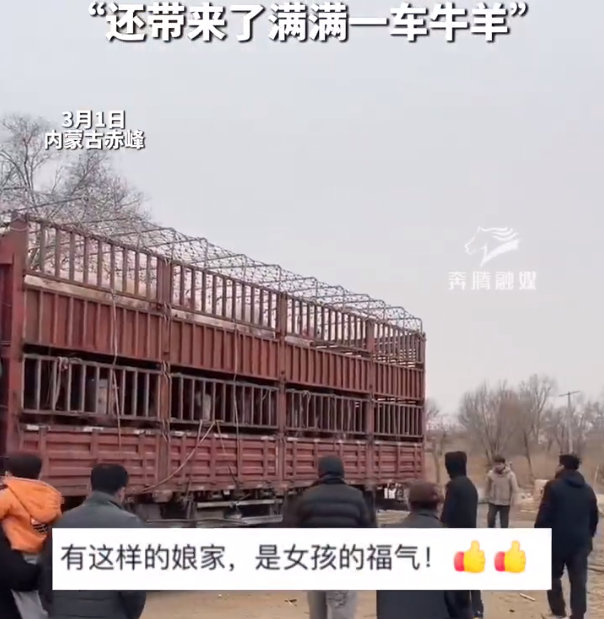 娘家人带一卡车牛羊来看望出嫁女子 亲朋40余人组团探望