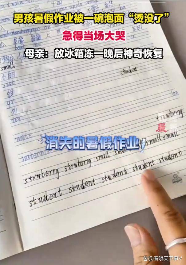 男孩暑假作业被一碗泡面烫没了 冷冻一夜奇迹恢复