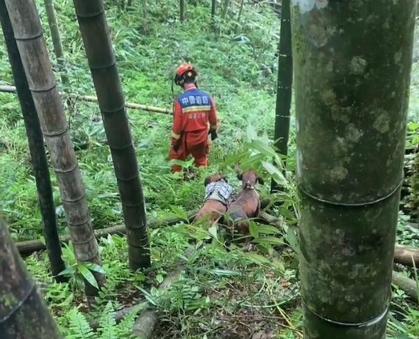 福建老人深山走失十天后成功獲救 生命奇跡再現(xiàn)