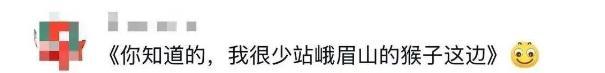 男子猛推峨眉山猴子知情人发声 景区回应并处罚