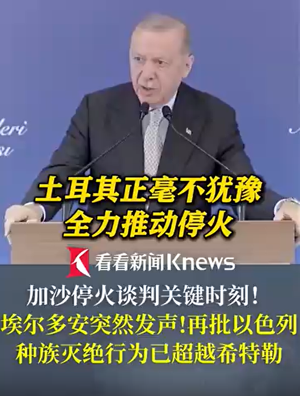 埃尔多安再批以色列 和平不是一只“单翼鸟”,土耳其将全力推动加沙停火