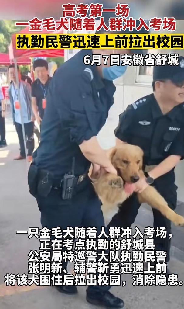 2023高考突发事件一览 身份证过期，金毛犬闯入考场......