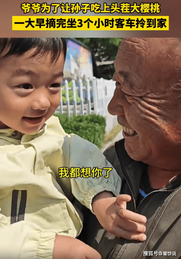 3小時顛簸一籃櫻桃的重量,！爺爺坐3小時客車給孫子送大櫻桃