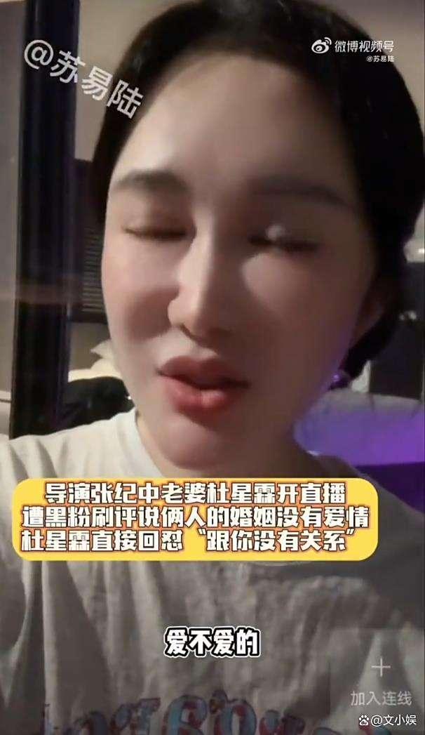 老婆回应与张纪中的婚姻没有爱情 我的生活与你何干