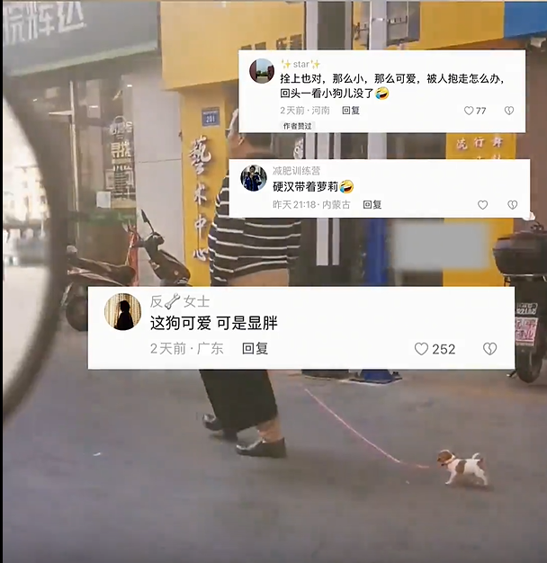 大哥遛狗很严谨再小的狗都要牵狗绳