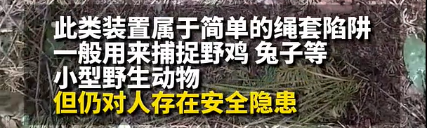 这类绳套陷阱一般用来捕捉野鸡,兔子等小型野生动物,但仍对人存在安全