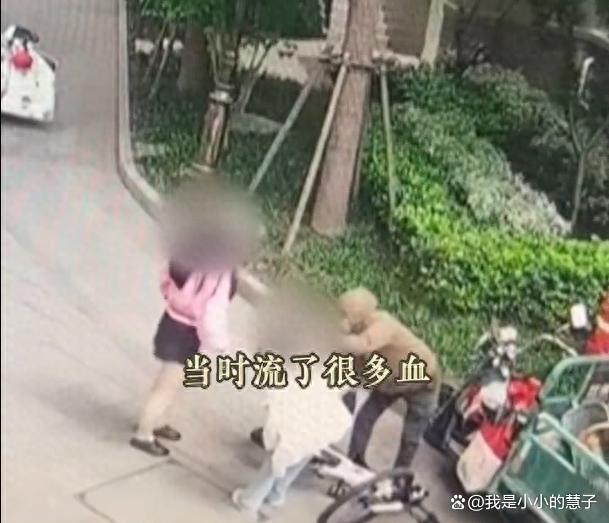 6岁女童弯道骑车逆行撞车索赔