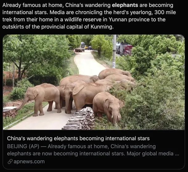 北上象群成“国际明星”，外媒集体夸中国