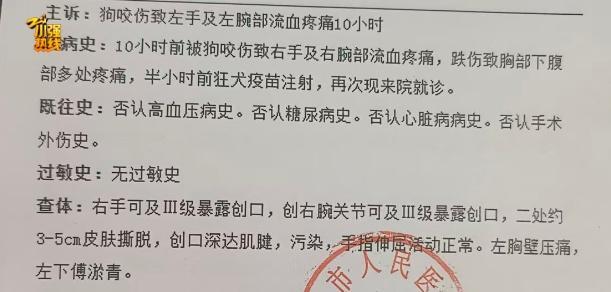 女子上班路上被大狼狗撲咬得血肉模糊 雙方就賠償金額產(chǎn)生分歧
