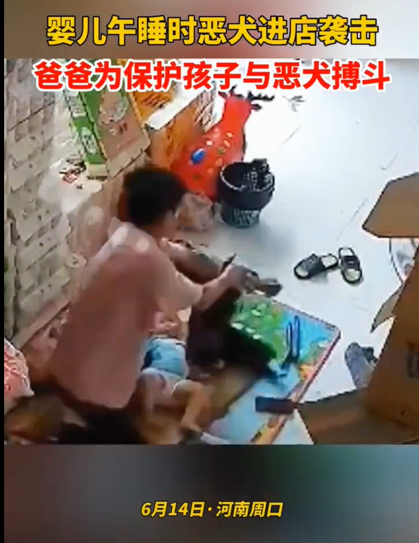 爸爸为保护小孩与狗搏斗 妈妈：孩子没有受伤