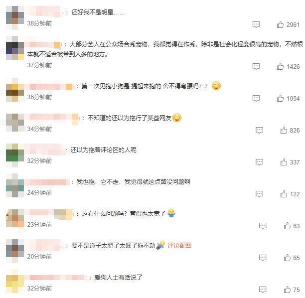 希林娜依高回应拖行小狗 行为引发热议