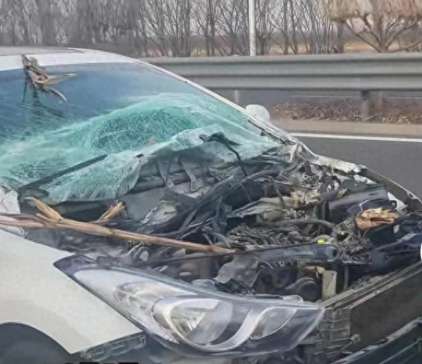 汽車追尾三輪車 三輪車跑了