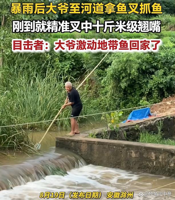 暴雨后大爷拿鱼叉抓鱼叉中十斤大鱼 大爷一叉，钓鱼佬泪目