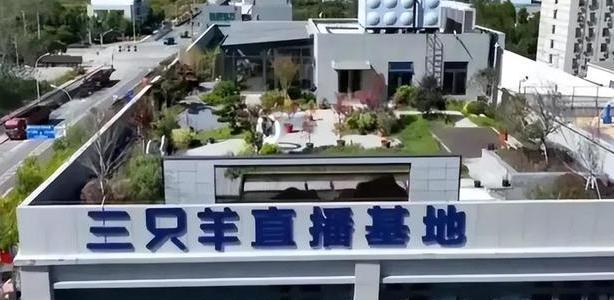 扛不住了？疯狂小杨哥杭州办公总部出租