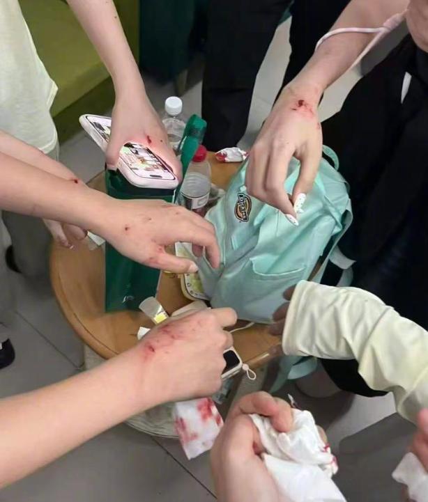 张凌赫线下活动临时取消 安全考量致变动