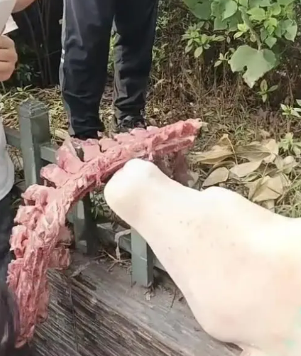 小學(xué)給孩子吃發(fā)臭排骨,？官方回應(yīng)：食材已封存檢測