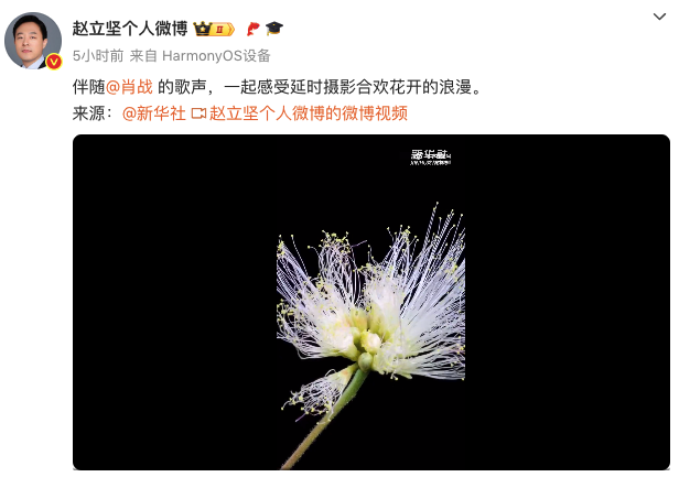 赵立坚发了肖战：伴随肖战的歌声，一起感受延时摄影合欢花开的浪漫