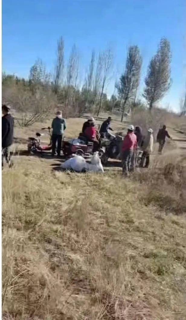 村民哄搶100畝向日葵：8人被行拘，損失達(dá)50萬(wàn)元