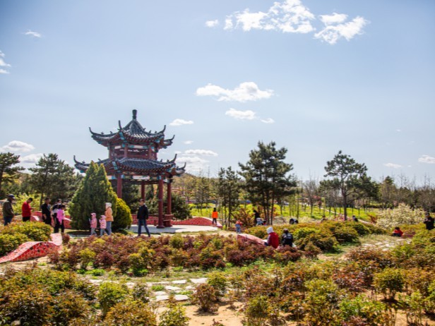 烟台市莱山区莱山街道探索“三项举措”，解锁“人和、村美、共富”的乡村“蝶变密码”