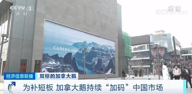 上海消保委约谈加拿大鹅 参会人员“一问三不知”
