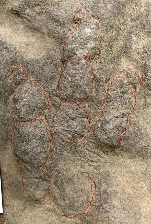 墊腳石竟是恐龍化石 揭示侏羅紀(jì)秘密