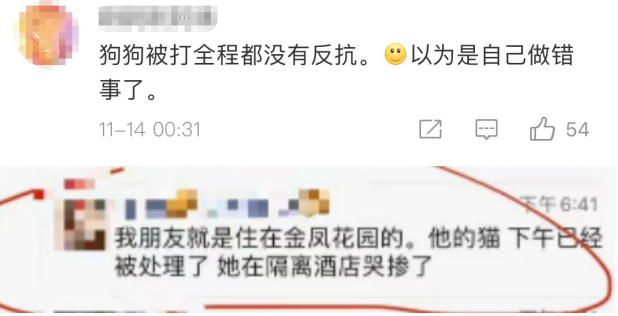 央视网评隔离宠物狗被扑杀：小狗哪里错了？隔离不能隔掉温度