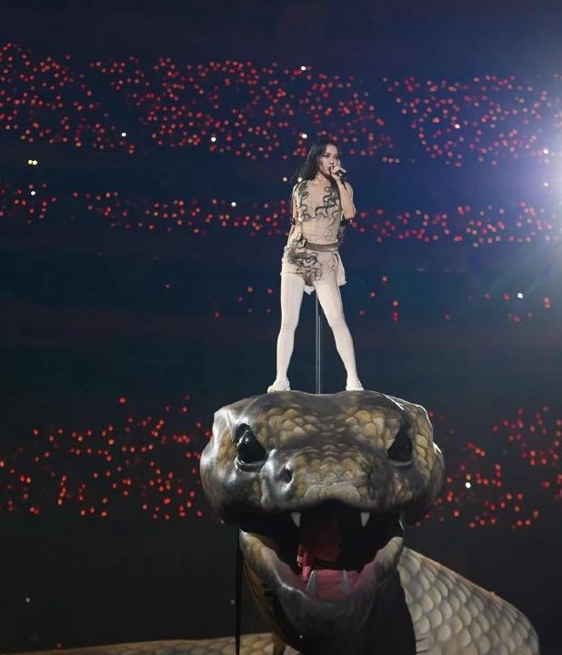 央视盛赞蔡依林演唱会舞台 艺术立异引争议