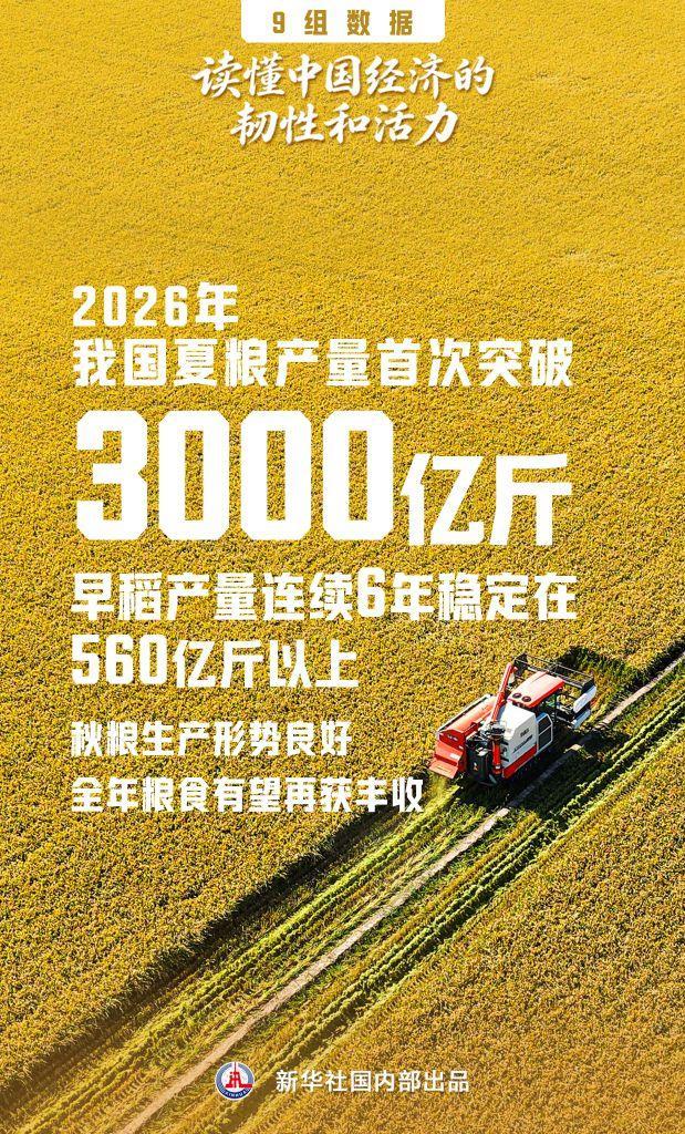 读懂中国经济的韧性和活力 向新向优发展
