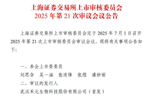 国产芯片迎来资本“及时雨” 新政助力未盈利企业上市