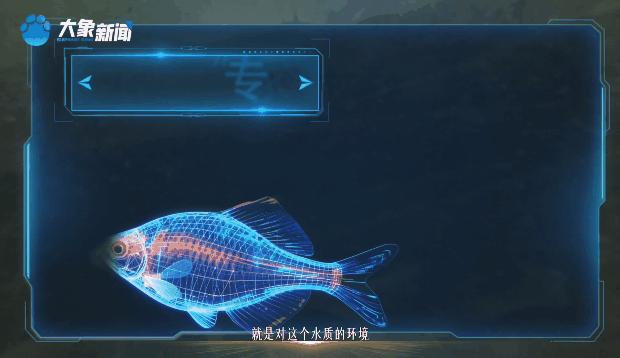 時政微視頻丨黃河更美了