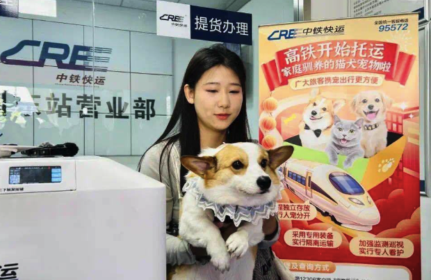 宠物也可以单独“坐”高铁了！高铁宠物托运今起进一步优化