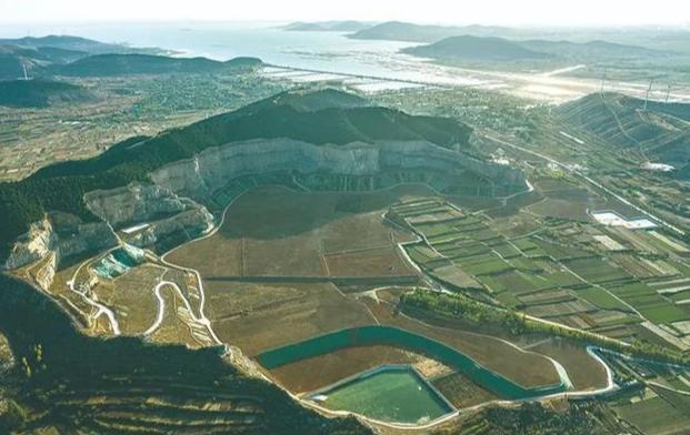 我国植树造林全球第一，为啥还要年年种树？ 从“绿起来”到“美起来”