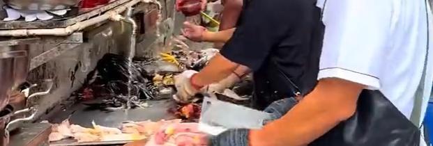 全网最不想火饭店老板:准备倒闭了 生意火爆累坏老板