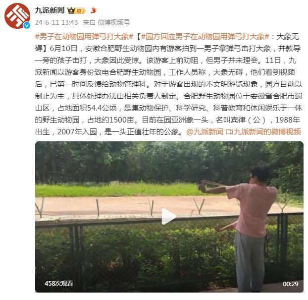 男子用弹弓打大象致其受惊：动物园紧急应对