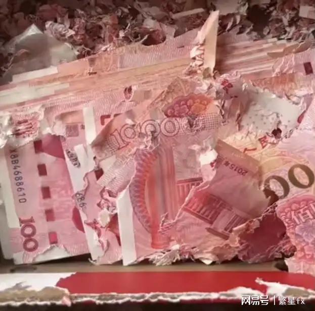 老人积蓄被老鼠啃成渣 一部分百元大钞被老鼠咬的面目全非