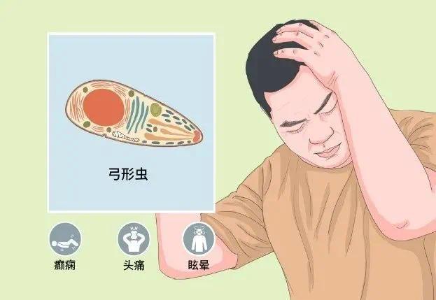 14岁少年睡梦中突发癫痫，竟因与一动物亲密接触