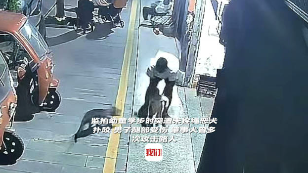 男子教幼儿学步突遭未拴绳恶犬扑咬 肇事犬曾多次攻击路人