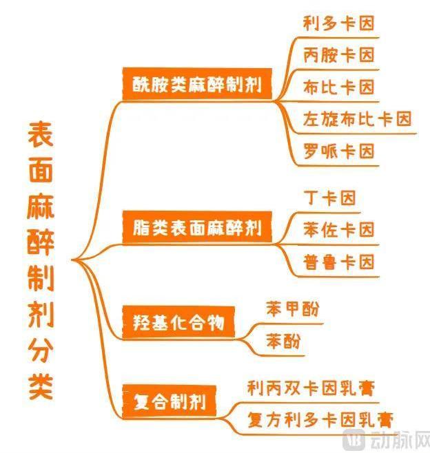 ▲表面麻醉制剂分类 动脉网制图